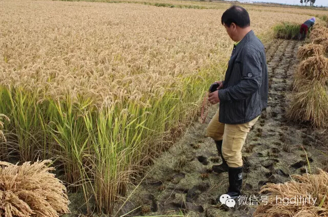 哈爾濱工大集團(tuán)沈陽津瑞肥業(yè)有限公司