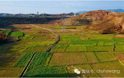 【自然有道理】農(nóng)業(yè)部喊話：土壤亞健康，要配方施肥和增施有機(jī)質(zhì)